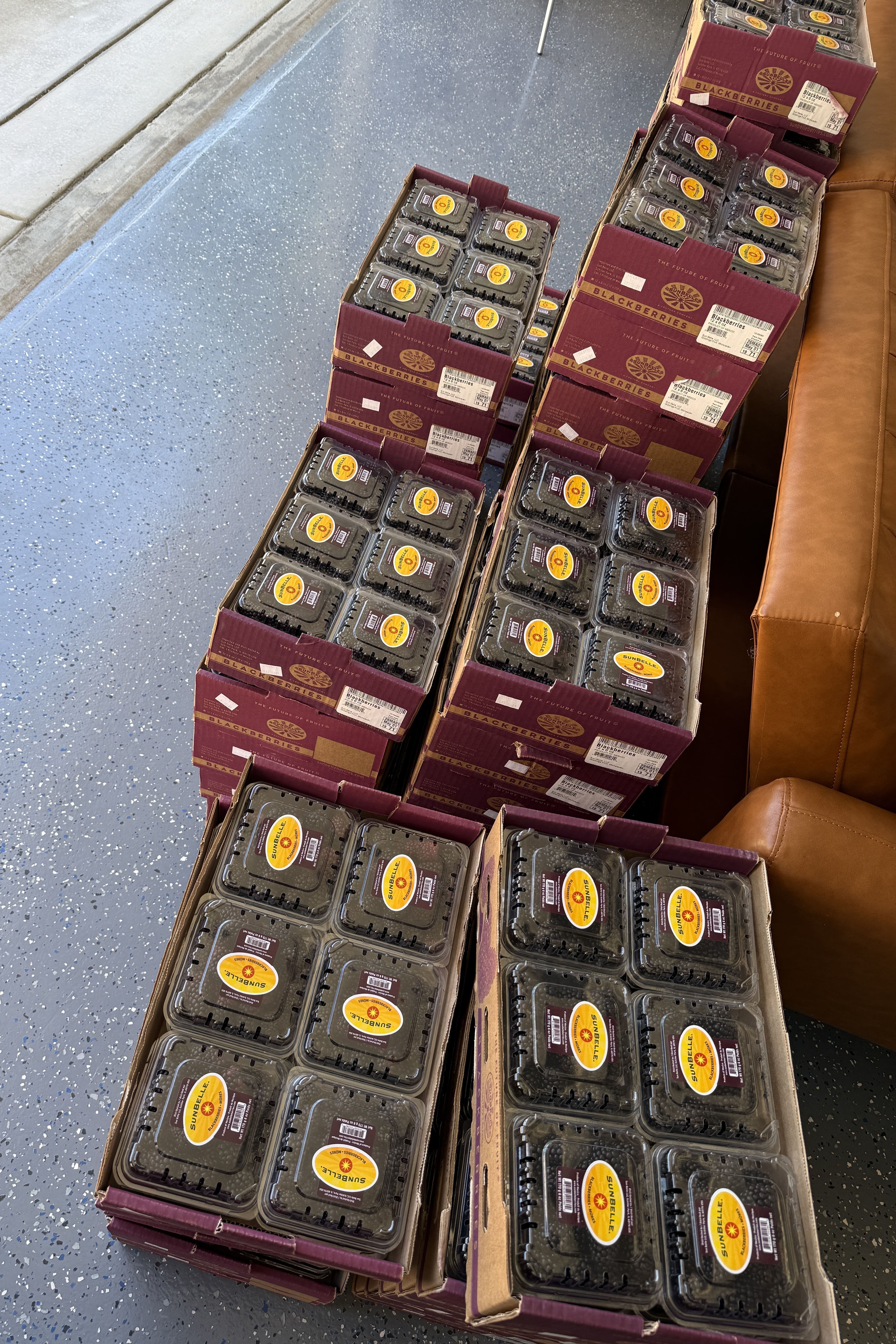 300 lbs BlackBerry donation to WPE