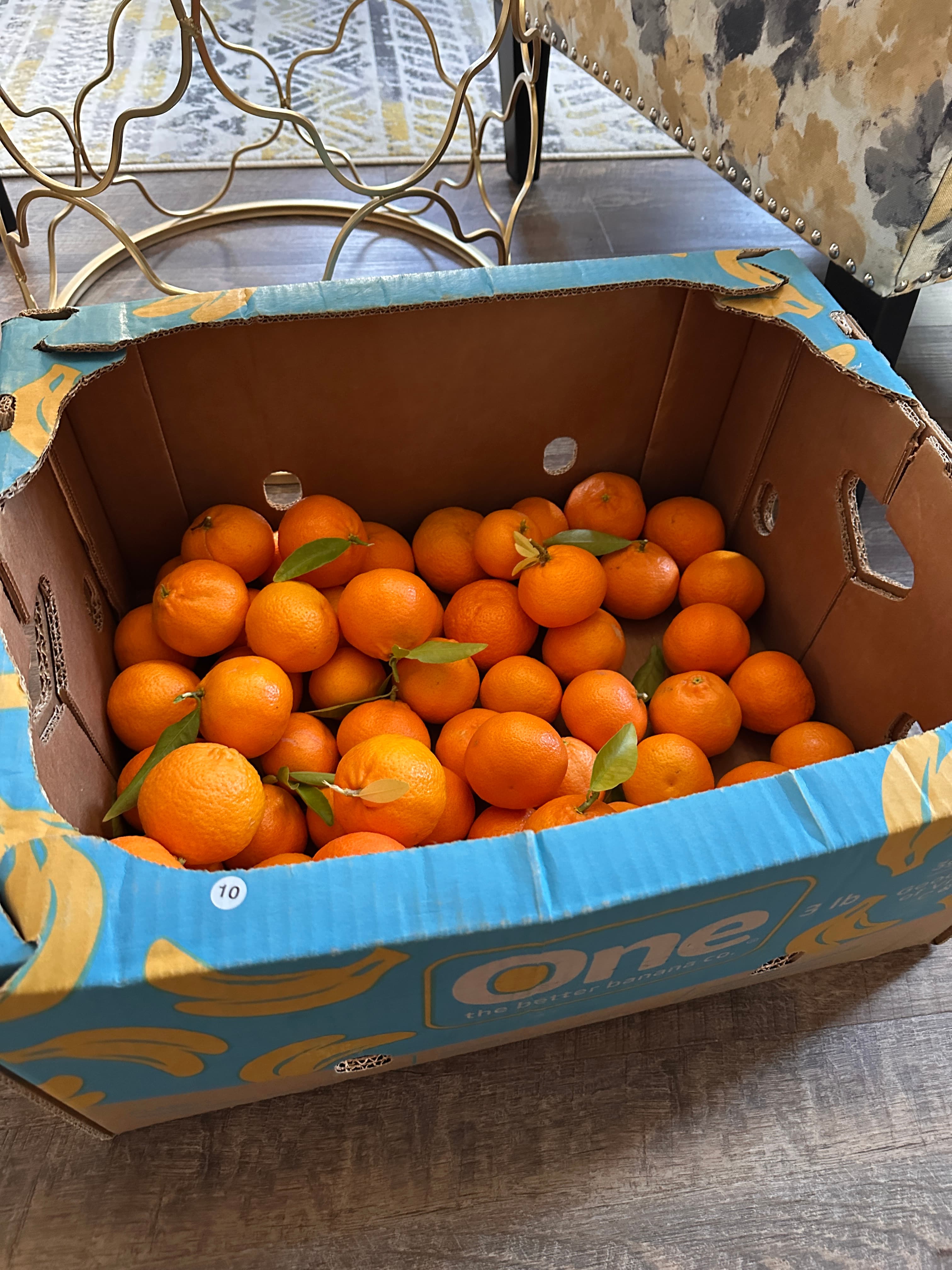 Orange harvestation